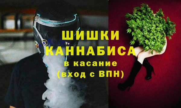 молекула духа Новокубанск