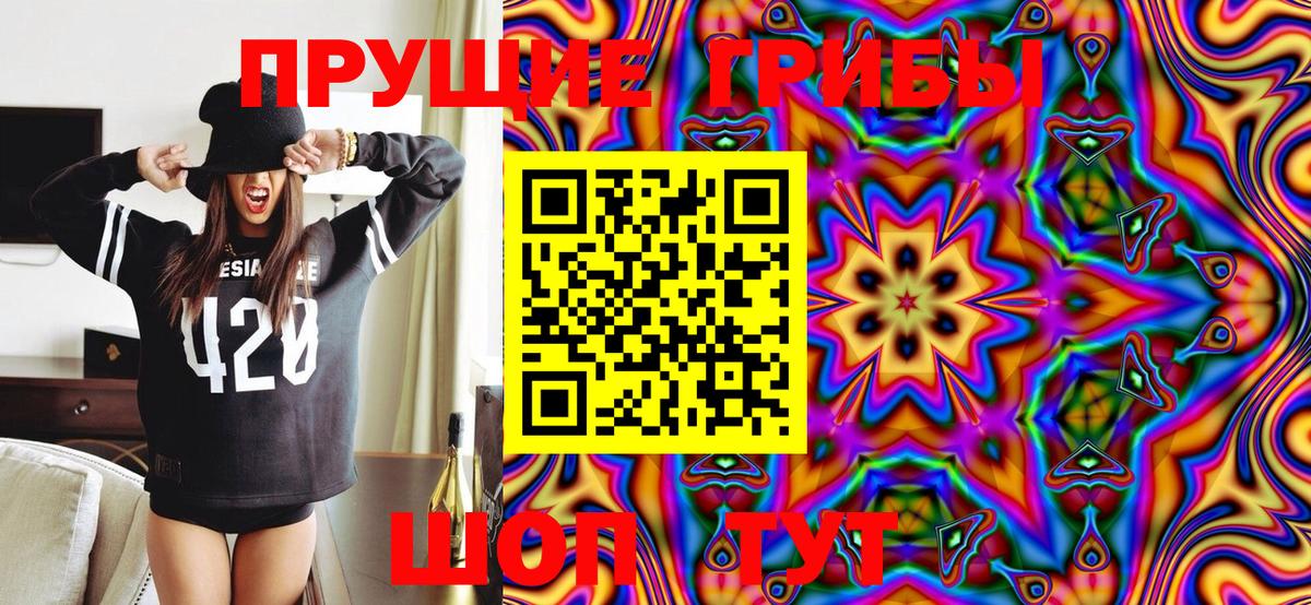 Псилоцибиновые грибы Psilocybine cubensis Ишимбай