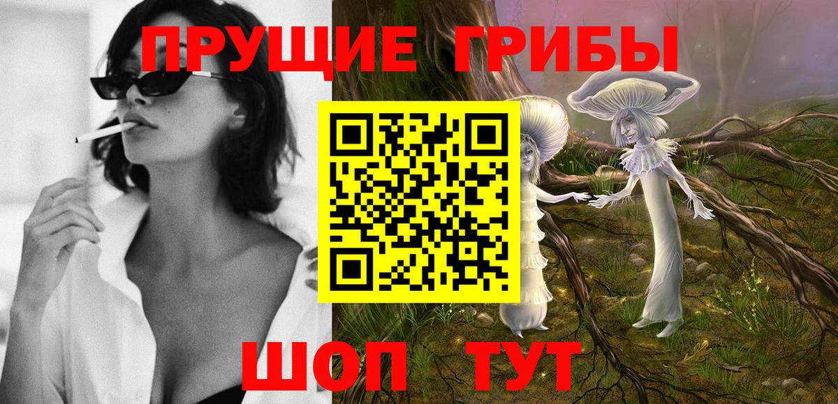 Ишимбай  Псилоцибиновые грибы прущие грибы  Вход с VPN 