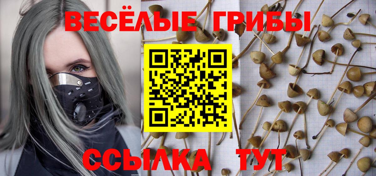 даркнет сайт  Ишимбай  Псилоцибиновые грибы мухоморы 