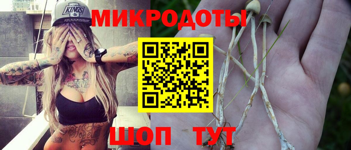 Псилоцибиновые грибы Psilocybine cubensis Ишимбай